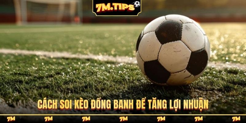 Cách soi kèo đồng banh để tăng lợi nhuận