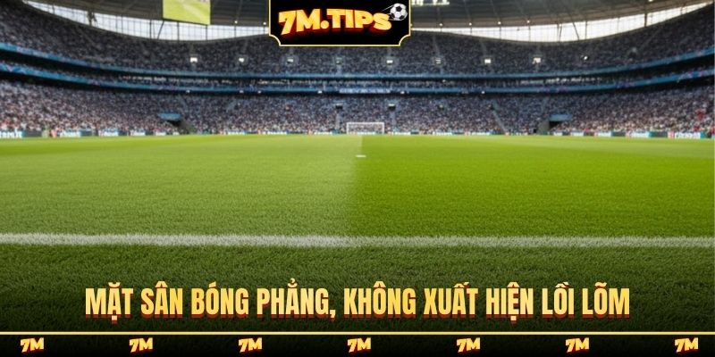 Mặt sân bóng phẳng, không xuất hiện lồi lõm