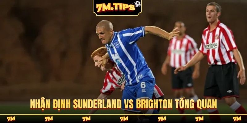 Nhận định Sunderland vs Brighton tổng quan